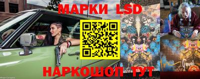 сатива Можга