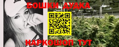 гидропоника Моздок