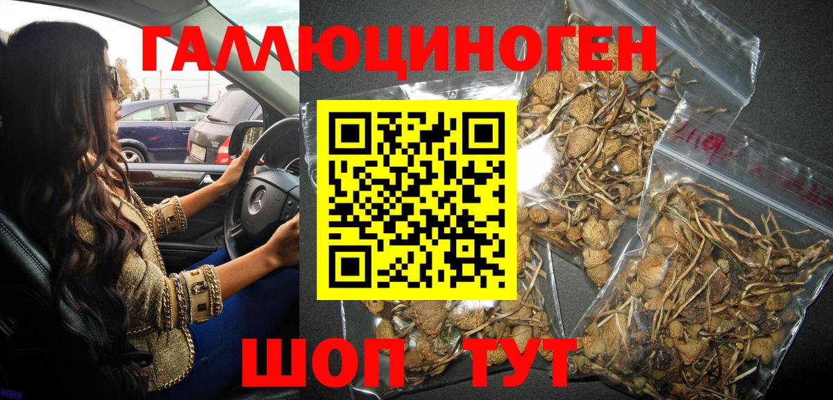 Галлюциногенные грибы ЛСД Хабаровск